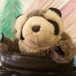 Meet your Posher, Hailey